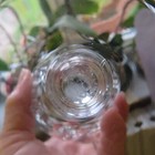 Bild 11 von 11