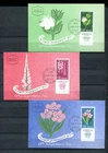 Israel 204-206 Flowers. Myrtle, Sea onion, Oleander, 1961 Maximum Card