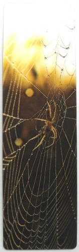 National Geographic 3-D BOOKMARKS Barn Owl, Space Shuttle, Sharks, Wolf, Tigers - Picture 21 of 22