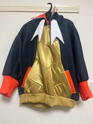 Pokemon Raihan Hoodie Size L Sword Shield Gym Leader Official Trainers Jacket