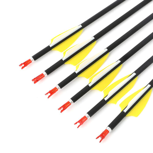30" Carbon Arrows Archery SP1000 Vanes ID4.2mm Point Recurve Bow Target Shooting - Picture 12 of 18