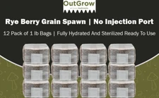 12-Pack Sterilized Rye Berry Grain Spawn – 1 lb Bags (No Injection Ports)