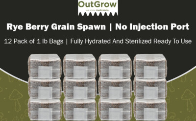 12-Pack Sterilized Rye Berry Grain Spawn   1 lb Bags (No Injection Ports)