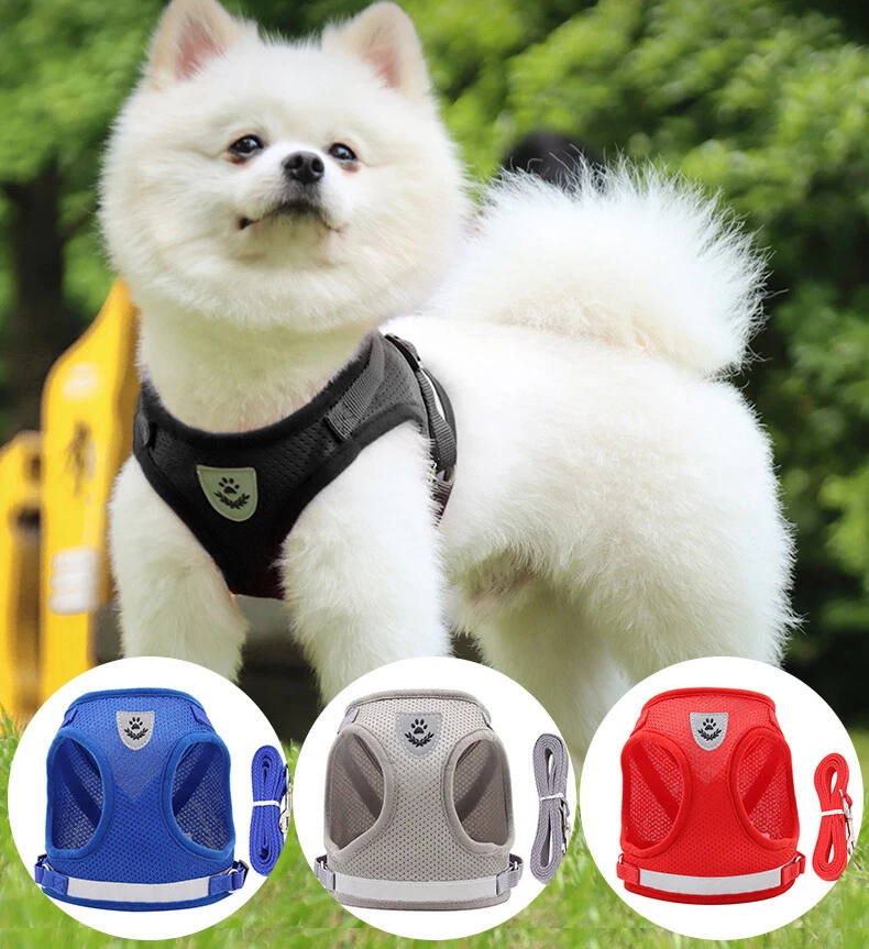 Dog Harness for Chihuahua Pug Control Mesh Walk Collar Vest Harnes and Leash Set