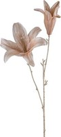 Artplants KüNstlicher Zweig Lilie Uwenra, Beige-Champagner, 65Cm