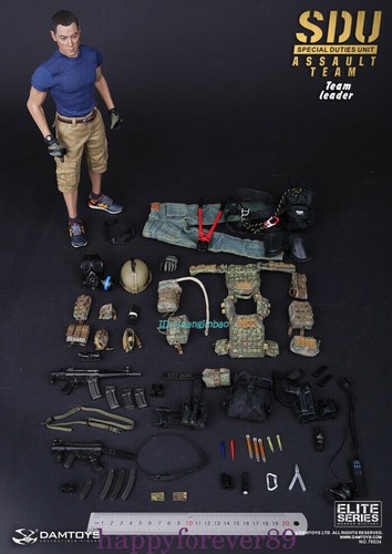 Damtoys Sdu Assault Team Leader Action Figure Daniel Wu Model In Box 1/6 Scale - Picture 10 of 10