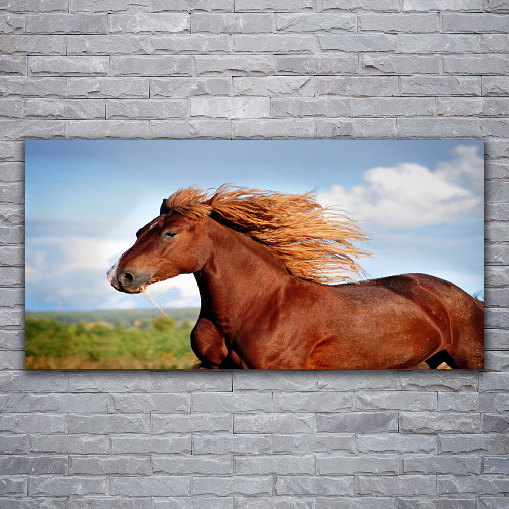 Tableau sur verre acrylique cheval 120x60 cm Tulup pour décoration murale