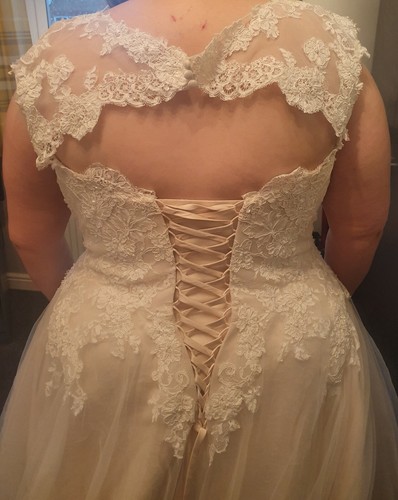 Champagne coloured wedding dress - Bridal size 24 / High St size 20 - Picture 2 of 6
