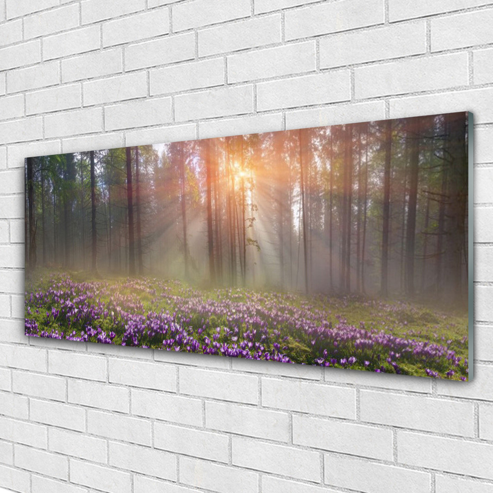 Tableau sous verre 125x50 résistant humidité cuisine forêt