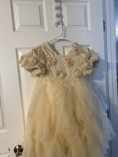Wedding Rose Flower Girl Dresses Pageant Dresses Ball Gowns Toddler Dress, 12