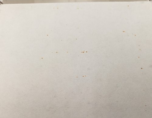 The North Pole Village Buzz & Cookie Figuren ENESCO Elfen Elfen 1986 NOS Vintage - Bild 12 von 13