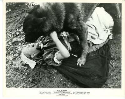 Vintage 8x10 Photo Cry of the Banshee 1970 Vincent Price Elisabeth Bergner