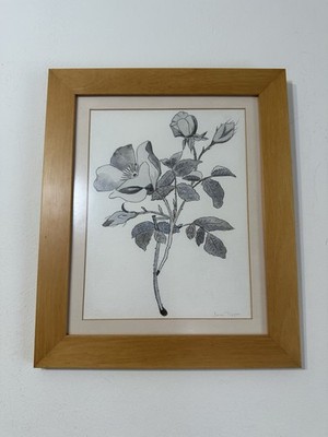 Minimalistische botanische Blumenzeichnung signiert Original Bleistiftskizze gerahmte Kunst