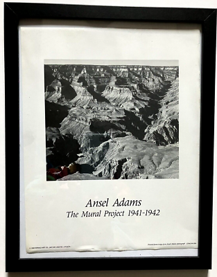 Ansel Adams The Mural Project 8x10 Framed Grand Canyon Shadows