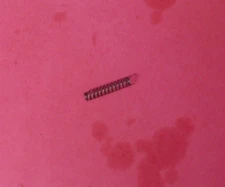 BOSTITCH PNEUMATIC TOOL TRIP SPRING #166772 - NEW OEM SERVICE PART