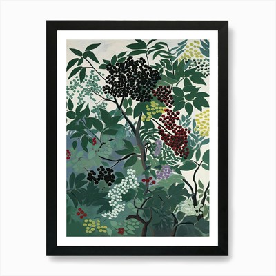 Holunder Obst Zeichnung 4 Kunstdruck gerahmtes Wandbild Poster Leinwanddruck Bild