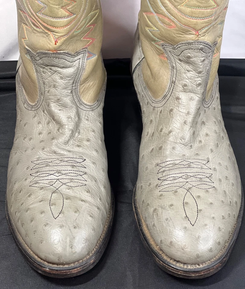 Botas de avestruz para hombre 11.5 E gris tostado bordado punta de acero puntada multicolor Foto 3 de 4