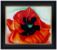 Framed, Quality Hand Painted Oil Painting, Single Red Poppy, 20x24in