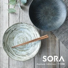 Japanese SORA Porcelain Deep Curry Pasta Salad Plate Pasta Dinner Microwave Safe