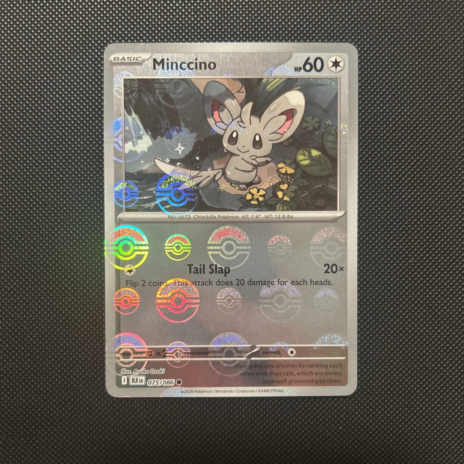 Pokemon Minccino (Poke Ball Pattern) 075/086 Black Bolt Reverse Holo Common NM