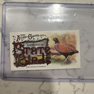 2025 Allen & Ginter Mini State Bird South Dakota Ring-Necked Pheasant SB-41