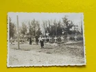 (RB)2024-276, Photo, German Soldiers Cemetery Welisch in Russia 1941,