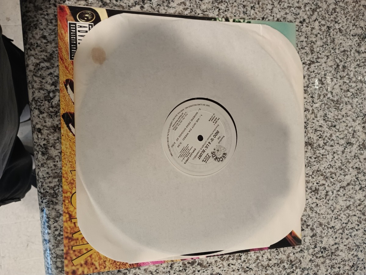 INDO 'G' & LIL' BLUNT 'blame it on the funk' '94 luke / promo / ex