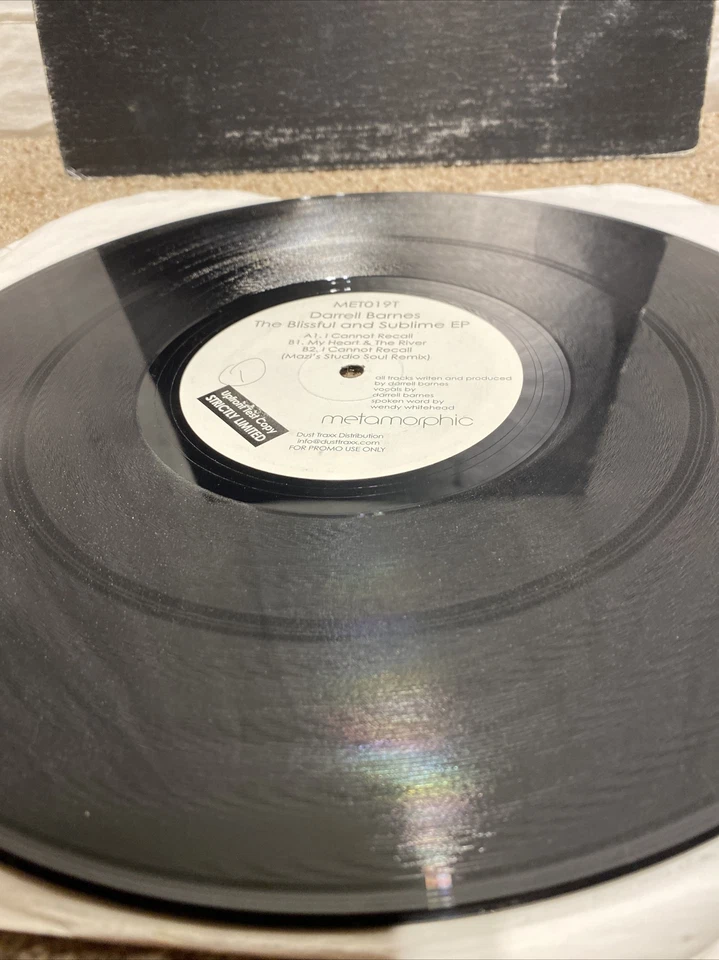 Darrell Barnes The Blissful And Sublime EP Foto 3 de 4