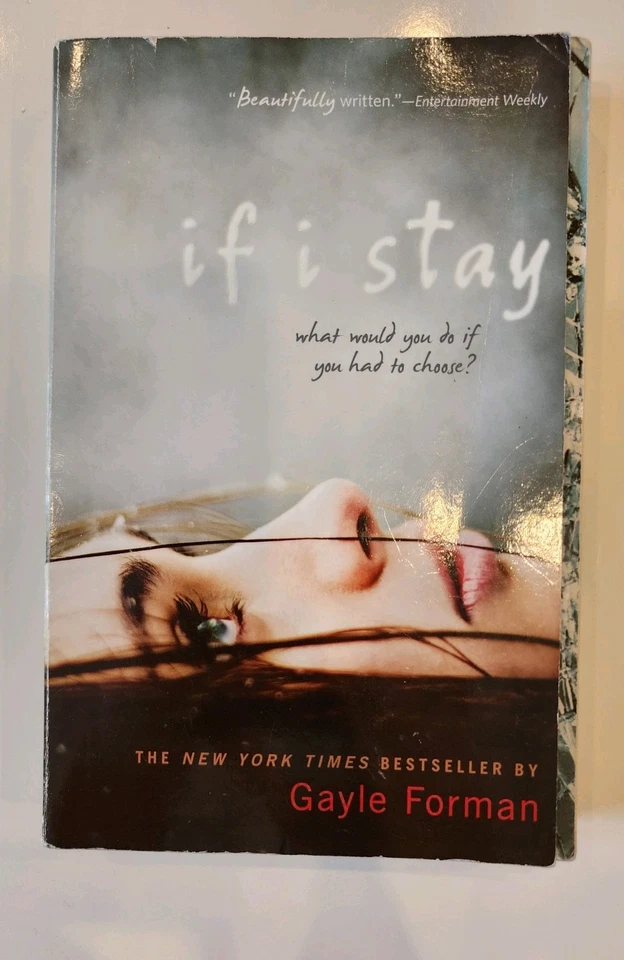 Lot of 17 Books. YA Fantasy Classics Christian Fiction Thriller, Mixed Authors Foto 2 de 4