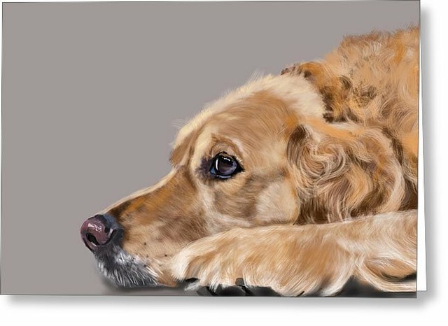 ebay golden retriever puppies for sale