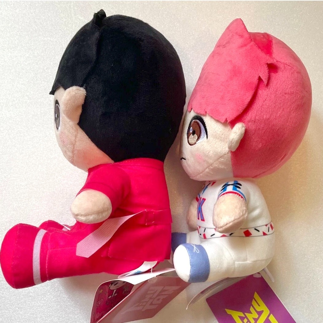 BTS TinyTAN JUNGKOOK Official Sitting Plush doll set Boy With Luv