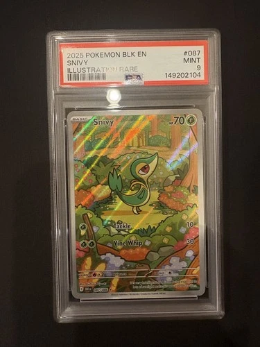 Pokemon Snivy Black Bolt 87/86 Illustration Rare Psa9