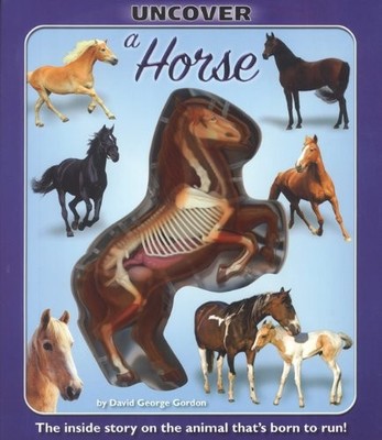Uncover a Horse (Uncover Books) Gordon, David George hardcover Good