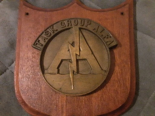 美国海军联盟老式牌匾-阿尔法任务组-木制框架金属奖章 — 第 3/4 张图片
