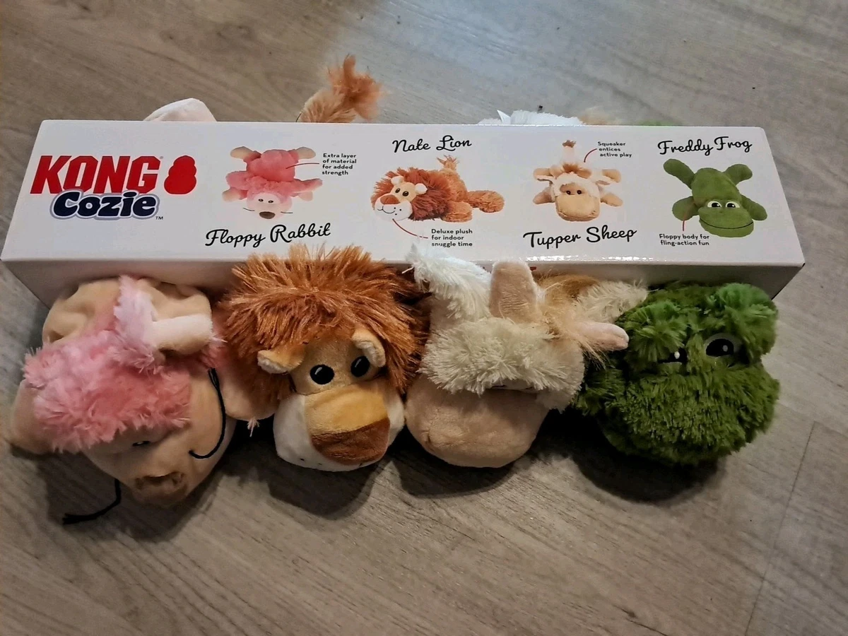 KONG Dragon Knots | Hond | Bestellen