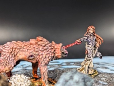 Well painted brave female adventurer ''Maggie Dills'' d&d miniature Reaper