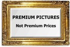 PREMIUM PICTURES not Premium Prices