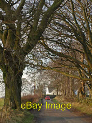 Photo 6x4 Tree lined road Lugton/NS4152 Very low branch crosses the road c2008