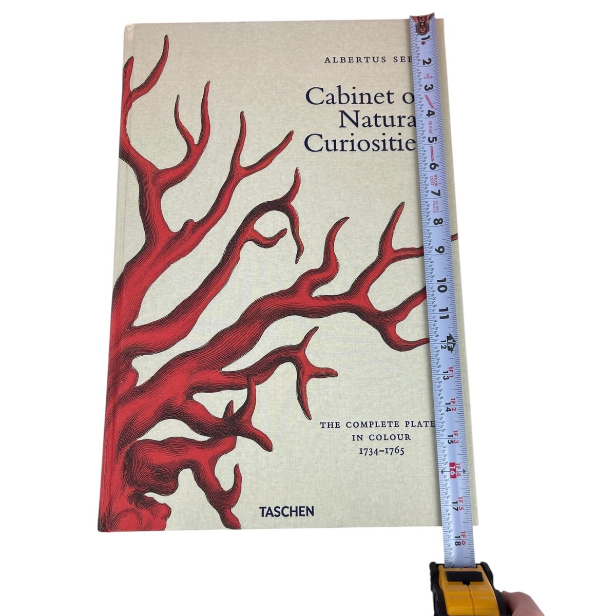 Cabinet Of Natural Curiosities Taschen Albertus Seba Huge