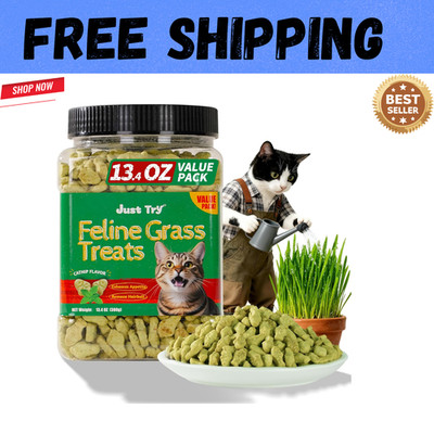 13.4 OZ Cat Grass Treats Natural Salmon Flavor Healthy Cat Snacks Training Biscu