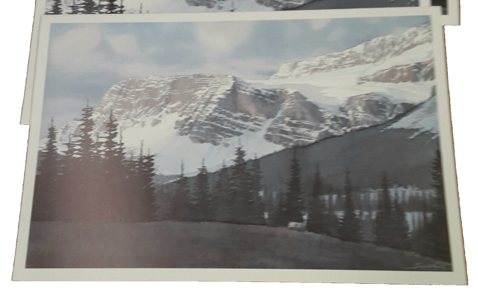 Picture 2 of 11