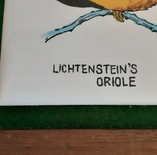 Vintage Lichtenstein's Oriole Tile Wall Plaque Ornithophile, Bird Watcher - Picture 3 of 4