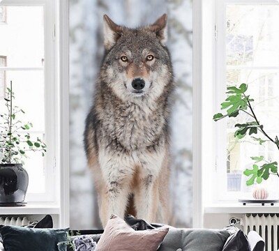 3D Snow Gray Wolf K422 Animal Wallpaper Mural Self-adhesive Removable Kay