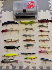 Sea Bass Lure Bulk Set, Includes Stream Demon 170J, Jerkbaits, Crankbaits
