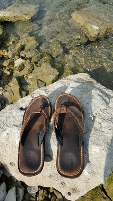 clarks fenner nerice