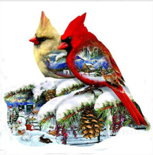 BIRDS - FULL  OF  WINTER  SCENES  DIAMOND  EMBROIDERY   3D DIAMOND