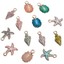 13-Pcs-Set-Mixed-Starfish-Conch-Shell-Metal-Charms-Pendant-DIY-Jewelry-Making thumbnail 1