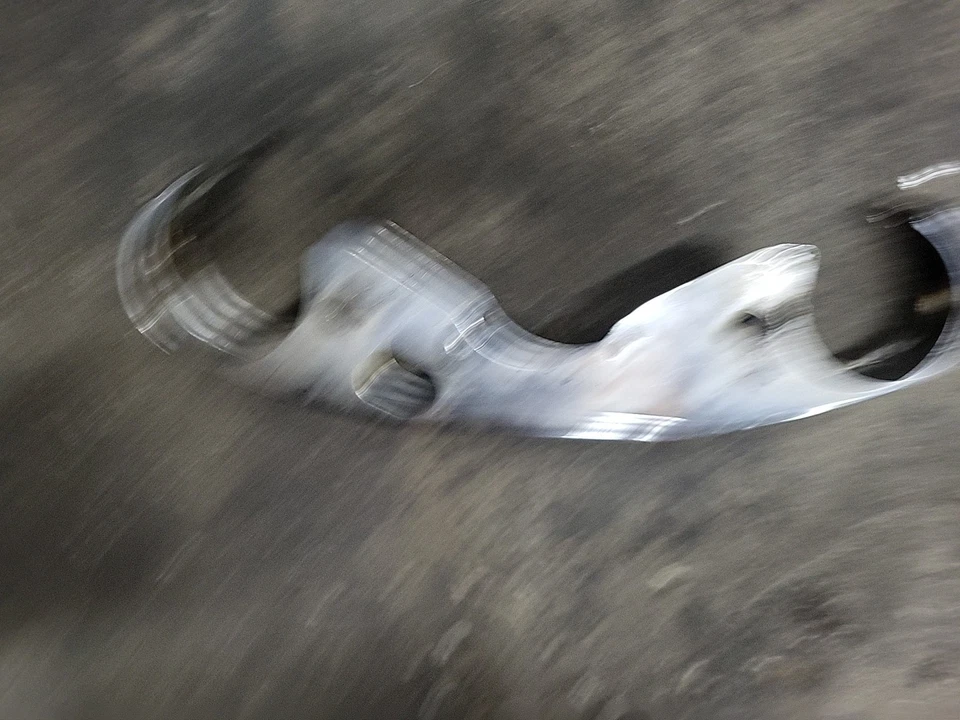 Kawasaki VN1500 L 1996 2004 01 2001 Vulcan VN 1500 cubierta inferior triple árbol Foto 3 de 4