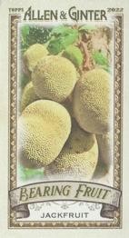 2022 Topps Allen & Ginter #BF-10 Jackfruit Mini Bearing Fruit
