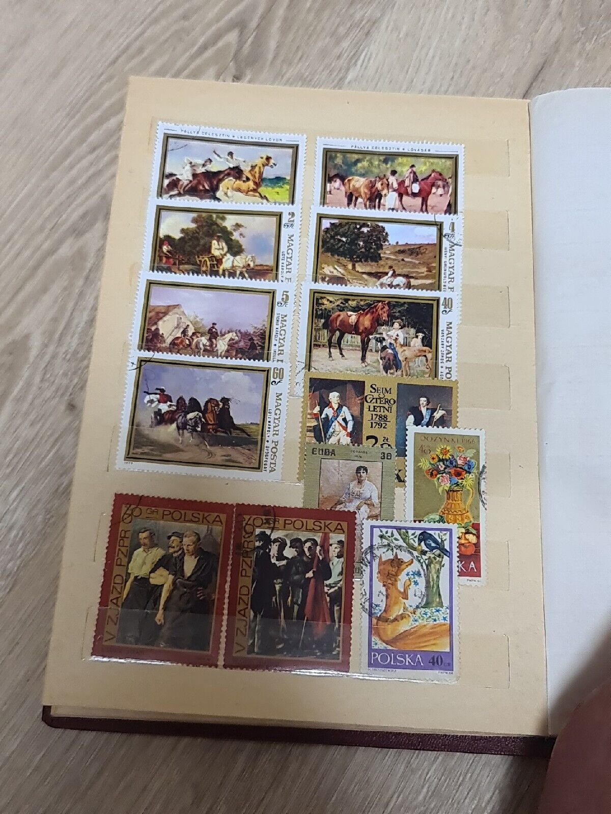 Picture 9 of 24